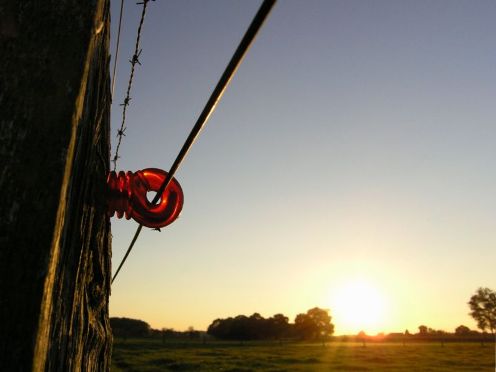 El equipo, una vez operando, emitirá pulsos de alto de voltaje, de gran energía y corta duración en intervalos de un segundo aproximadamente. Cuando un animal se aproxime a la cerca y la toque, las descargas de alto voltaje emitidas por el equipo ingresarán al cuerpo del animal, pasan por él y terminan en la tierra. Con esto se consigue cerrar el circuito dándole una patada eléctrica y lograr el propósito: alejar el animal del cerco.