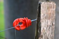 El alambrado eléctrico: Instalación y manejo