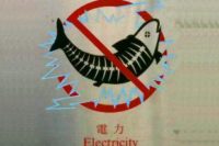 La pesca eléctrica